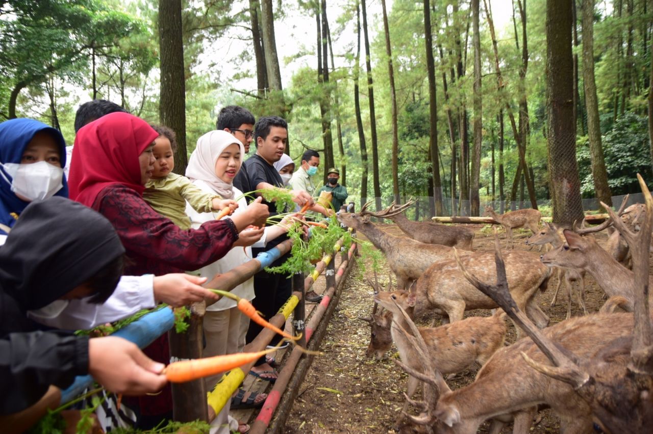 Jelang Libur Sekolah, Ini Rekomendasi Wisata Lokal di Jawa Timur