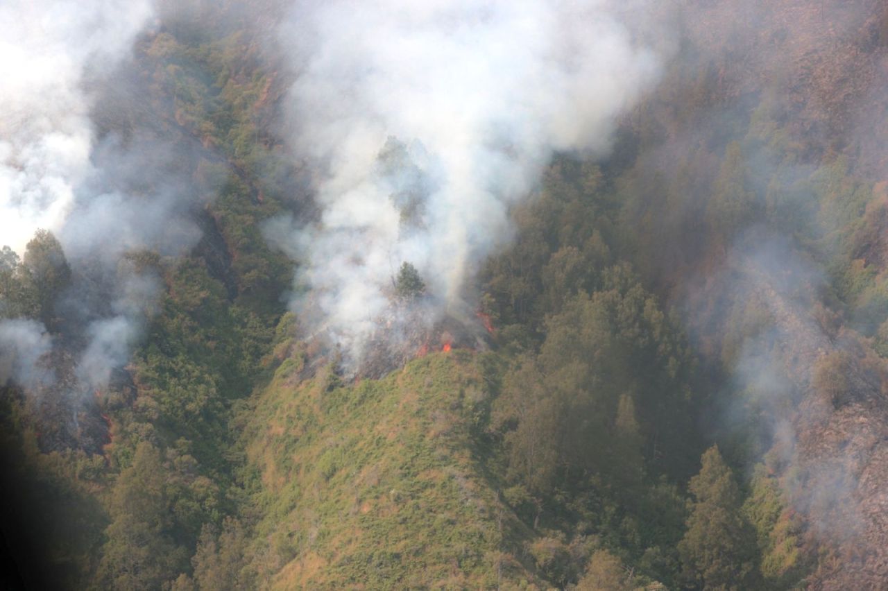 Titik Api di Bukit Teletubbies Kawasan Bromo Masih Menyala