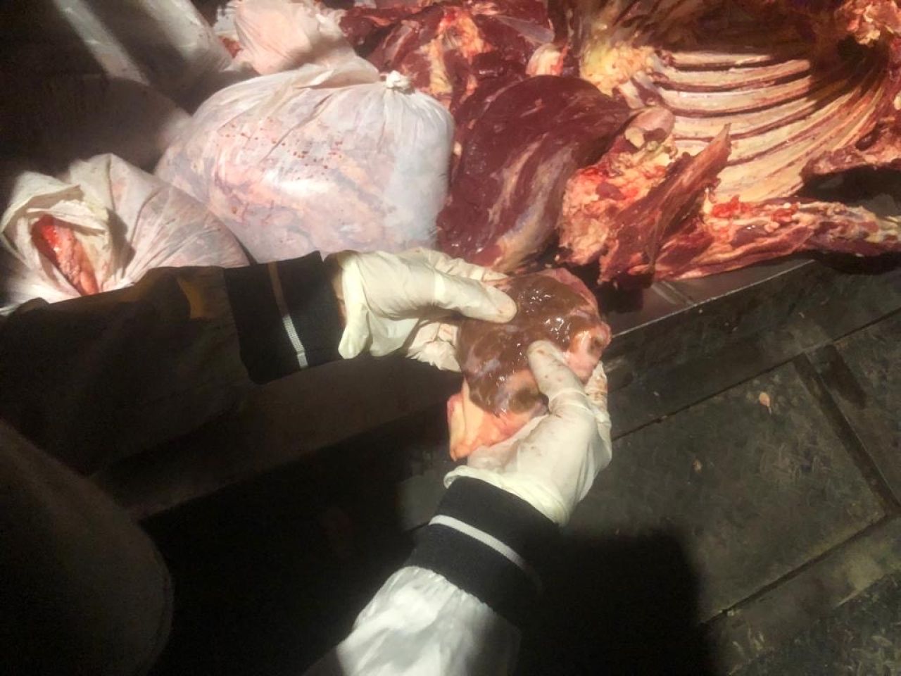 Aparat Sergap Rumah Penjualan Daging Gelonggongan di Surabaya